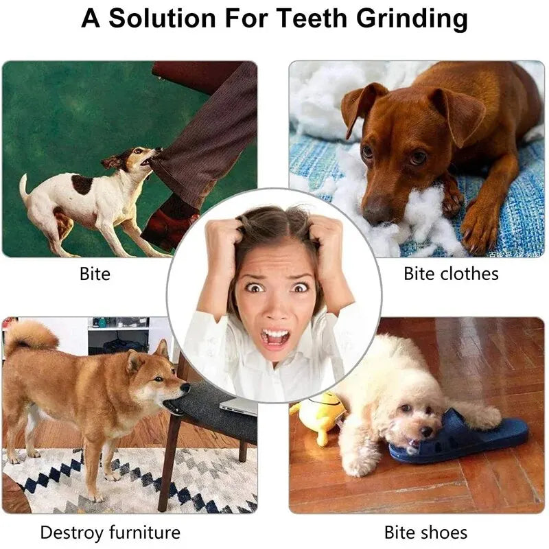 Dog Toy Ball Food Feeder Non-toxic Bite Resistant Toy Ball for Dogs Puppy Treat Chew Tooth Cleaning Ball