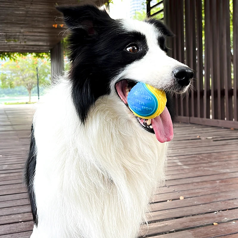 Dog Interactive Toy Soft TPR Toys for Teeth Cleaning Bite Resistance Squeaky Ball