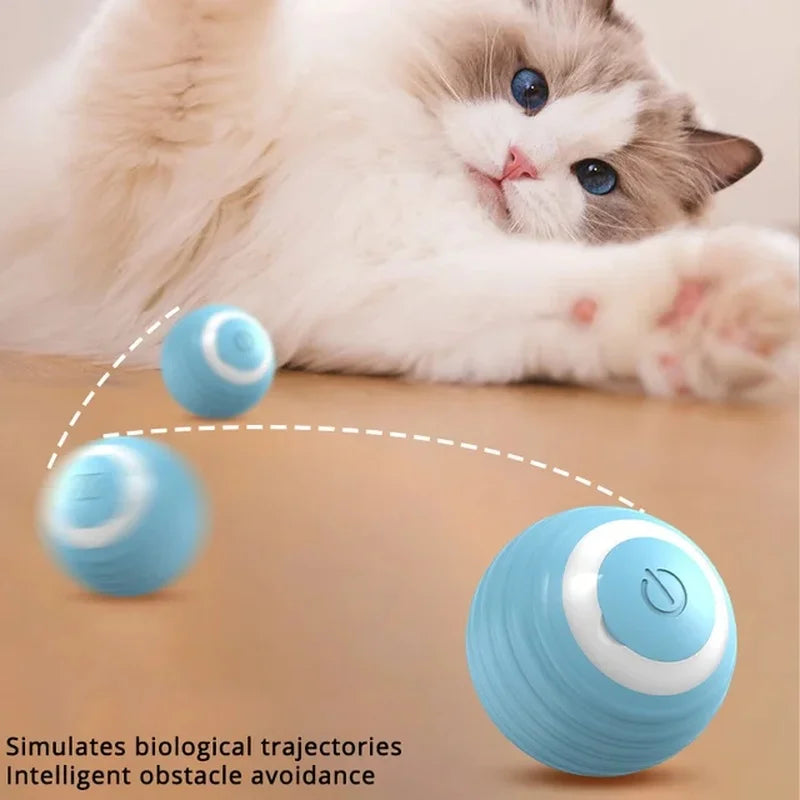 Interactive Cat Toy Ball Roll Games Kitten Accessories