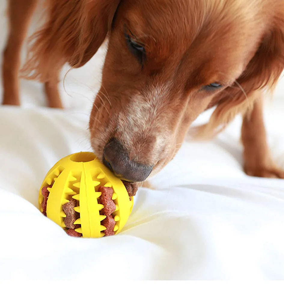 Dog Food Treat Feeder Funny Pet Interactive Rubber Ball Chew Toy For Tooth Cleaning