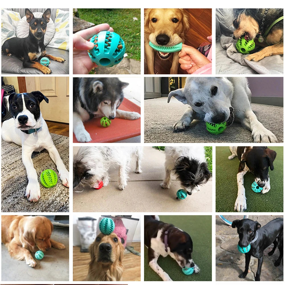 Dog Food Treat Feeder Funny Pet Interactive Rubber Ball Chew Toy For Tooth Cleaning